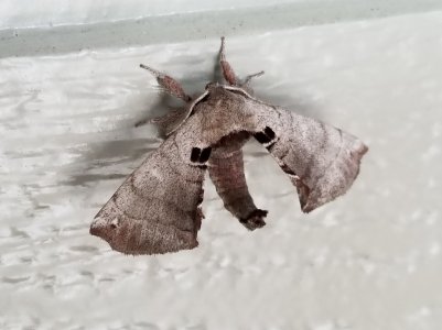 20170425_111020.jpg