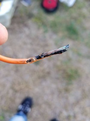 wire.jpg