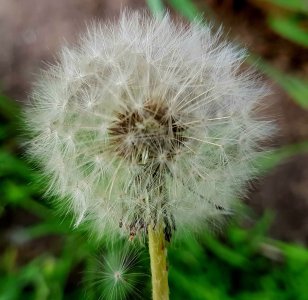 20170426_155804.jpg