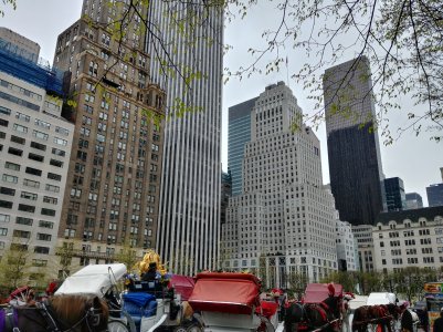20170421_142348_HDR.jpg