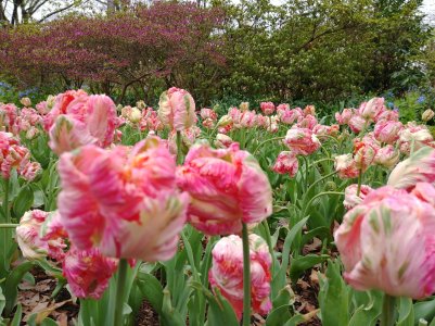 20170421_140158.jpg