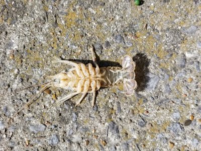 20170426_161818.jpg