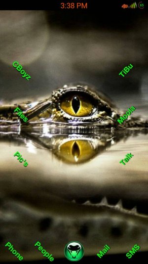 uploadfromtaptalk1360186783892.jpg