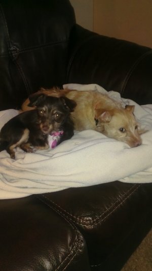 2013-01-08 14.53.23.jpg