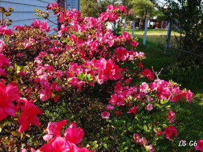 20170427_180344-01[1].jpg