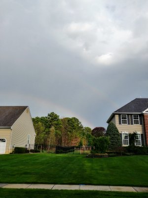 20170416_172511_HDR.jpg