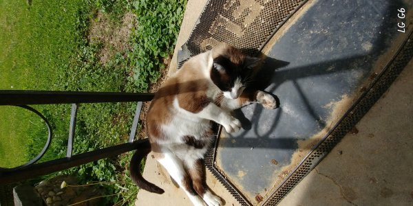 20170428_132402[1].jpg