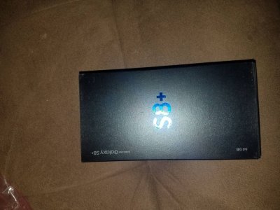 7069.jpg