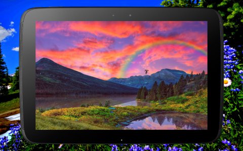 ms_tablet_1.jpg