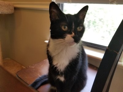 20170430_102259.jpg