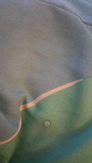camera dot.jpg
