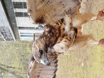 20170429_125228.jpg