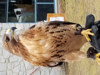 20170429_125415.jpg
