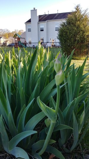 0402171851_HDR.jpg