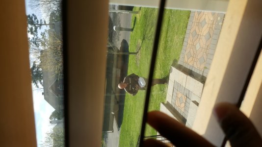 20170419_110148.jpg