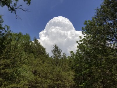 20170530_143525.jpg