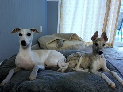 20170501_182724.jpg