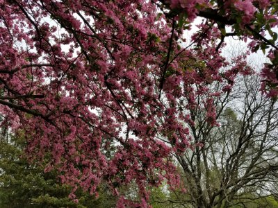 20170429_092624.jpg