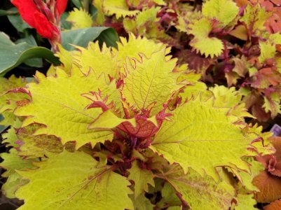 20170502_085856.jpg
