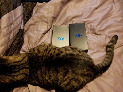 1492635669960629983769.jpg
