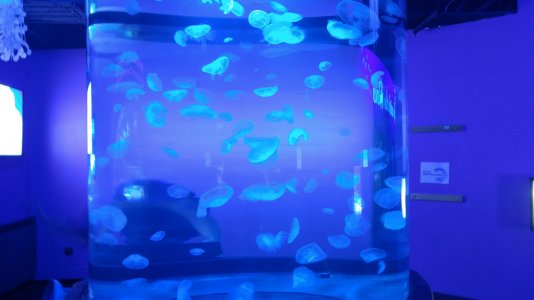 20170520_105352.jpg
