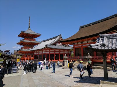 IMG_20170424_095217.jpg