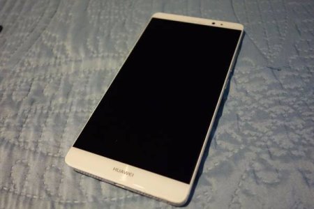 Mate 1.jpg