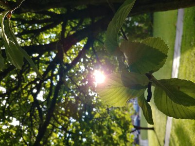 20170518_063812_HDR.jpg