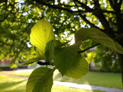 20170518_063858.jpg