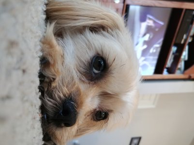 20170506_151853.jpg