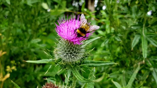 20170723_141908.jpg