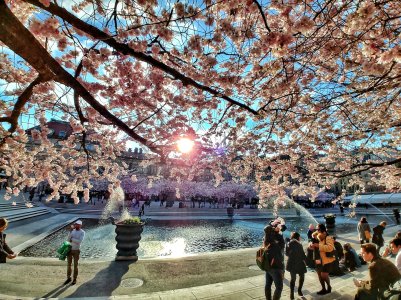 20170428_181410_HDR-01.jpg