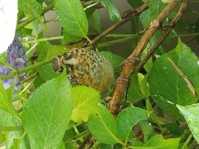 20170724_080232.jpg