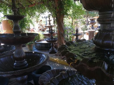IMG_20170725_114254.jpg