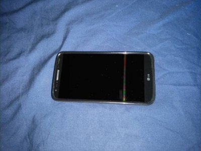 15008.jpg