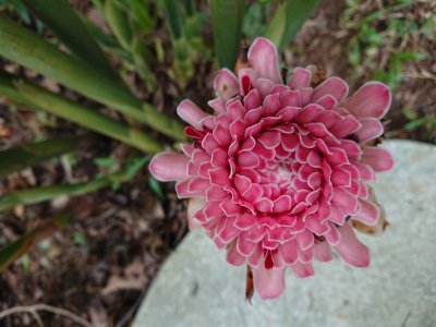 DSC_0020.jpg