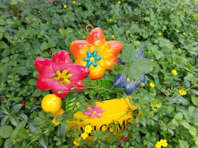 IMAG0064.jpg