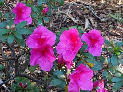 IMAG0089.jpg