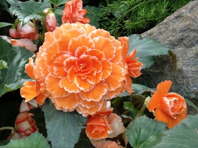 IMAG0104.jpg