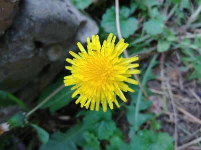 20170512_112335[1].jpg
