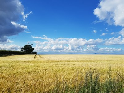 20170727_173644.jpg