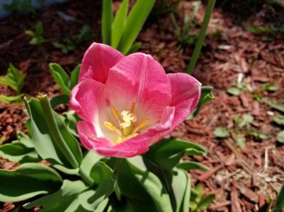 20170512_120616.jpg