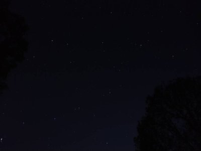 3738.jpg