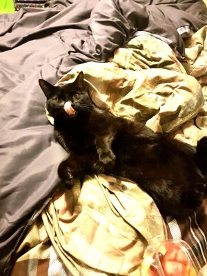 20170512_103649.jpg