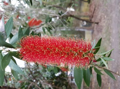 20160802_165545.jpg