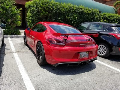 20170513_130326.jpg