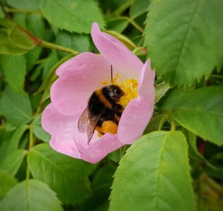 20170614_152816-02.jpg