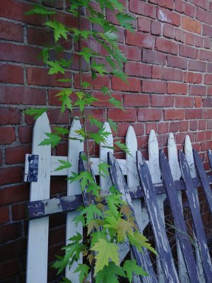 brick huse.jpg