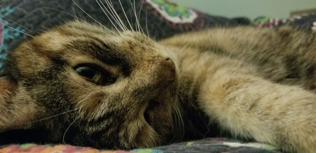 20170614_234815.jpg
