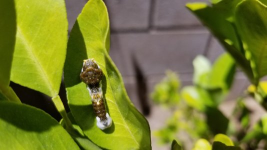 20170514_120451.jpg